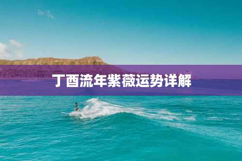 丁酉流年紫薇运势详解