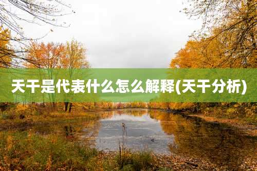 天干是代表什么怎么解释(天干分析)