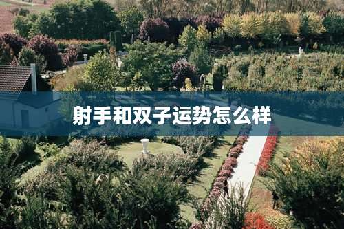 射手和双子运势怎么样