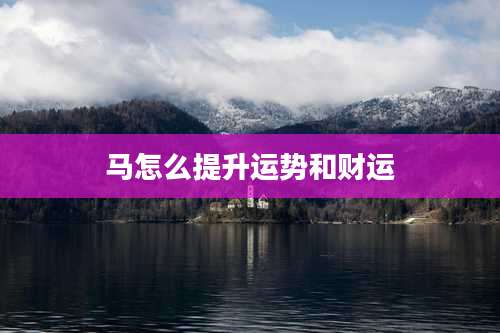 马怎么提升运势和财运
