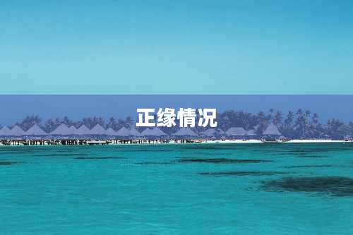 正缘情况