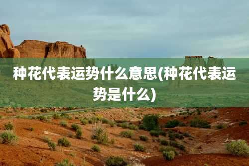 种花代表运势什么意思(种花代表运势是什么)