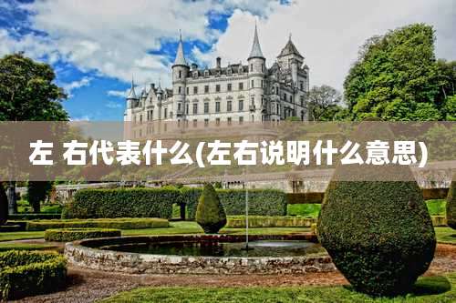 左 右代表什么(左右说明什么意思)