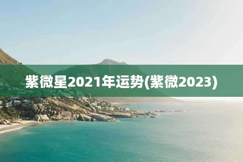 紫微星2021年运势(紫微2023)