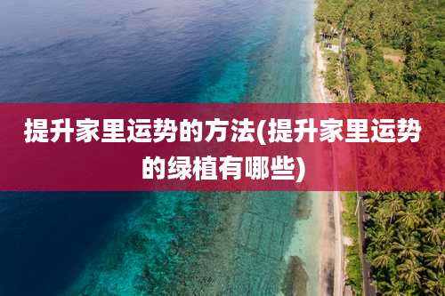 提升家里运势的方法(提升家里运势的绿植有哪些)