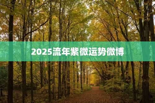 2025流年紫微运势微博