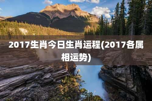 2017生肖今日生肖运程(2017各属相运势)