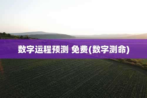 数字运程预测 免费(数字测命)
