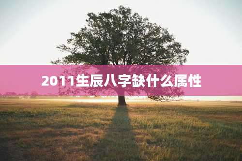 2011生辰八字缺什么属性