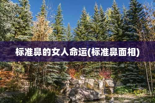 标准鼻的女人命运(标准鼻面相)
