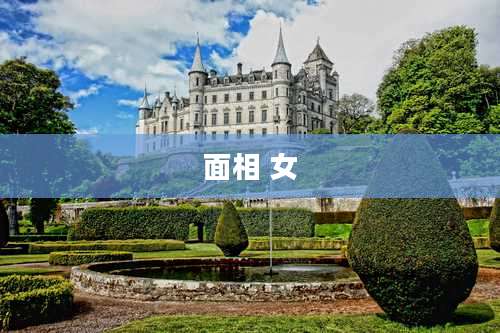 面相 女
