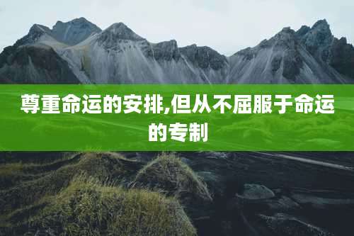 尊重命运的安排,但从不屈服于命运的专制