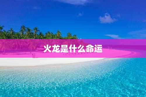 火龙是什么命运