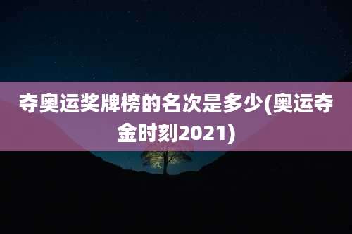 夺奥运奖牌榜的名次是多少(奥运夺金时刻2021)