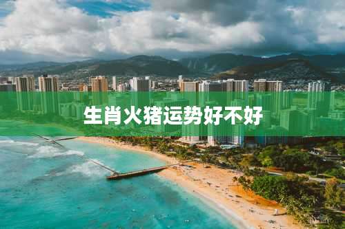 生肖火猪运势好不好