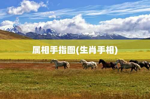 属相手指图(生肖手相)