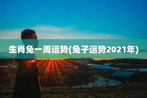 生肖兔一周运势(兔子运势2021年)