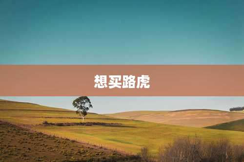 想买路虎