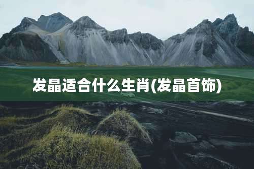 发晶适合什么生肖(发晶首饰)