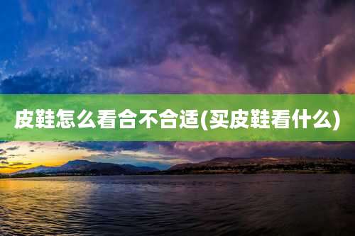 皮鞋怎么看合不合适(买皮鞋看什么)