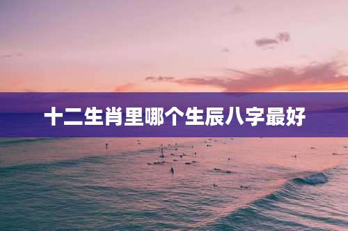 十二生肖里哪个生辰八字最好