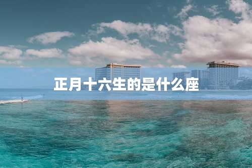 正月十六生的是什么座