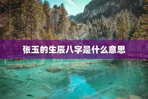 张玉的生辰八字是什么意思