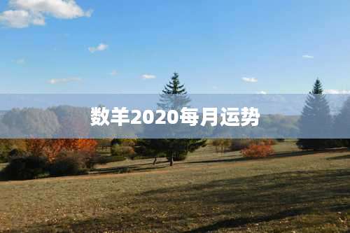 数羊2020每月运势