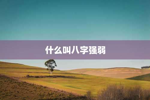 什么叫八字强弱