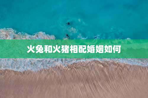 火兔和火猪相配婚姻如何