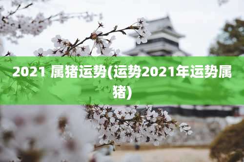 2021 属猪运势(运势2021年运势属猪)