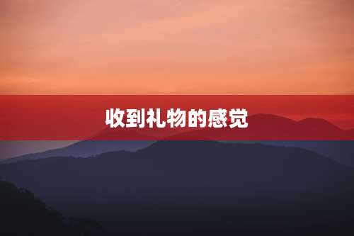 收到礼物的感觉
