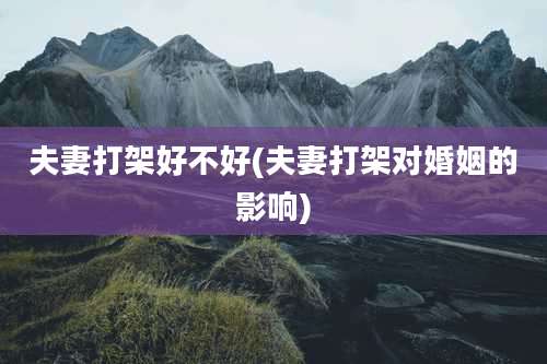 夫妻打架好不好(夫妻打架对婚姻的影响)