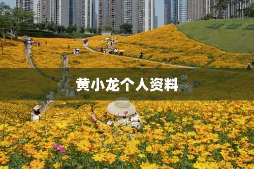 黄小龙个人资料