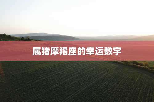 属猪摩羯座的幸运数字