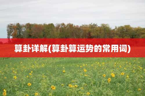 算卦详解(算卦算运势的常用词)