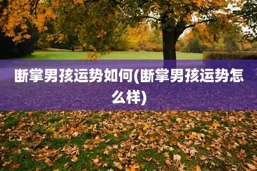 断掌男孩运势如何(断掌男孩运势怎么样)