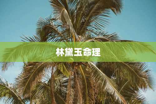 林黛玉命理