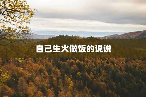 自己生火做饭的说说