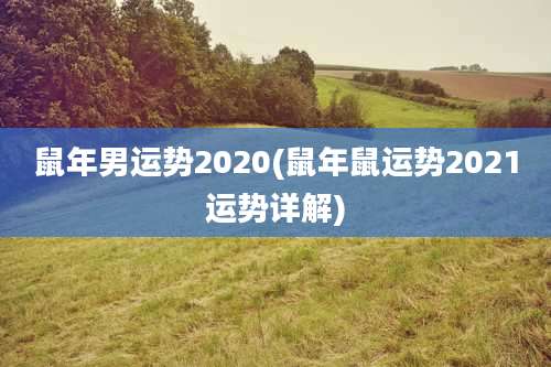 鼠年男运势2020(鼠年鼠运势2021运势详解)