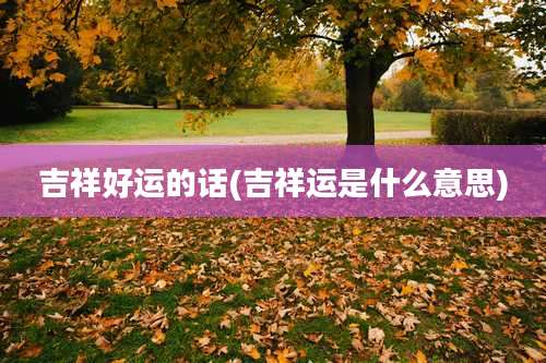 吉祥好运的话(吉祥运是什么意思)