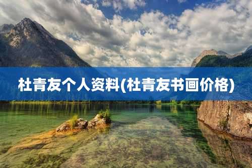 杜青友个人资料(杜青友书画价格)