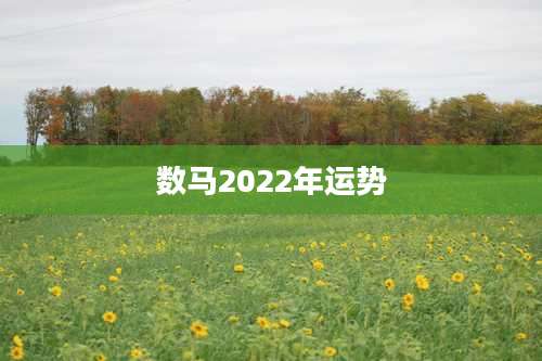 数马2022年运势