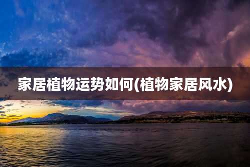 家居植物运势如何(植物家居风水)