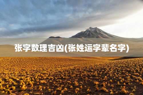 张字数理吉凶(张姓运字辈名字)
