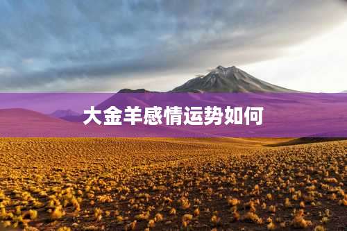 大金羊感情运势如何