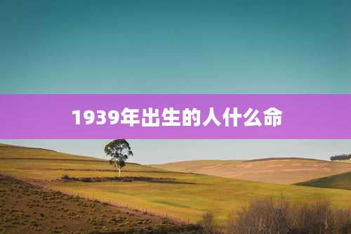 1939年出生的人什么命