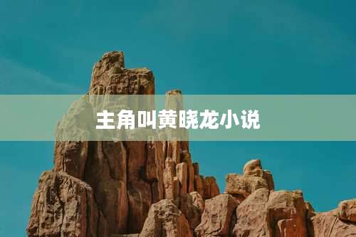 主角叫黄晓龙小说