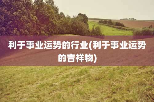 利于事业运势的行业(利于事业运势的吉祥物)