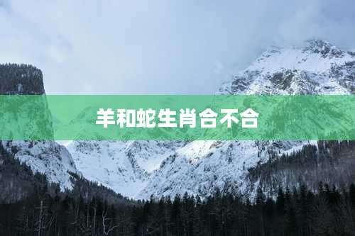 羊和蛇生肖合不合